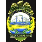 NEW HAMPSHIRE STATE POLICE PIN MINI BADGE PIN